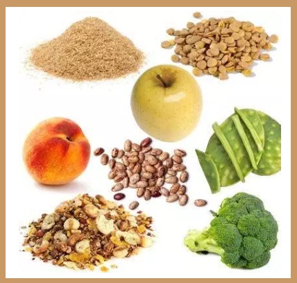 Les fibres alimentaires
